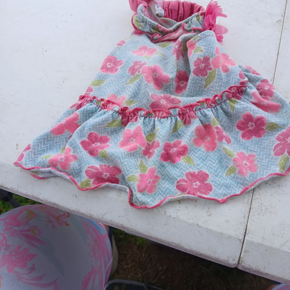 Pink and Red Heart Dog Dress